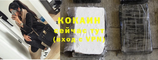винт Вяземский